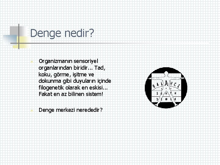 Denge nedir? n n Organizmanın sensoriyel organlarından biridir. . . Tad, koku, görme, işitme