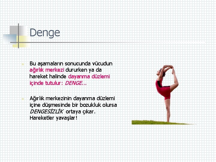 Denge n n Bu aşamaların sonucunda vücudun ağırlık merkezi dururken ya da hareket halinde