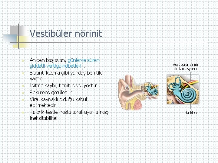 Vestibüler nörinit n n n Aniden başlayan, günlerce süren şiddetli vertigo nöbetleri… nöbetleri Bulantı