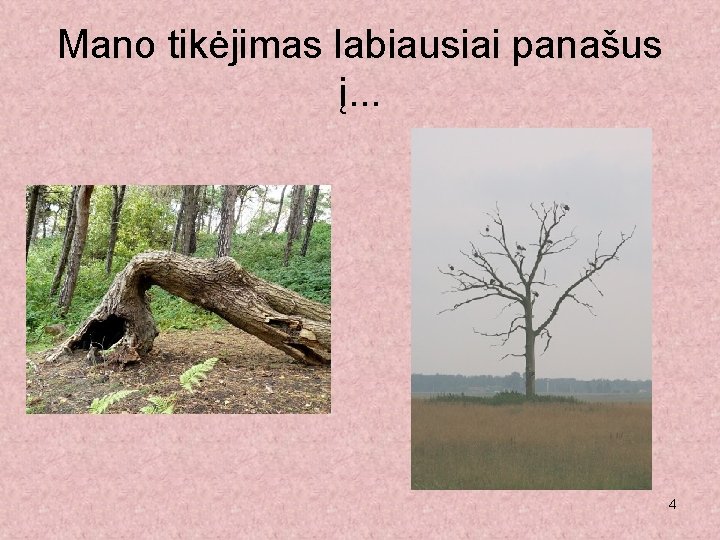 Mano tikėjimas labiausiai panašus į. . . 4 