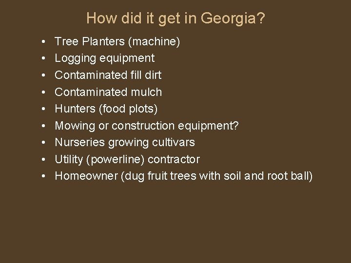 How did it get in Georgia? • • • Tree Planters (machine) Logging equipment