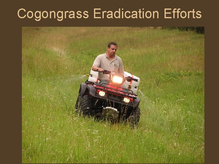 Cogongrass Eradication Efforts 