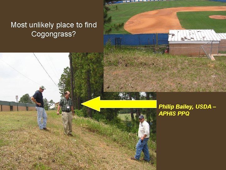 Most unlikely place to find Cogongrass? Philip Bailey, USDA – APHIS PPQ 