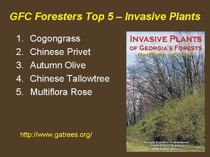 GFC Foresters Top 5 – Invasive Plants 1. 2. 3. 4. 5. Cogongrass Chinese