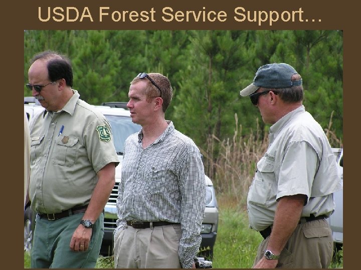 USDA Forest Service Support… 