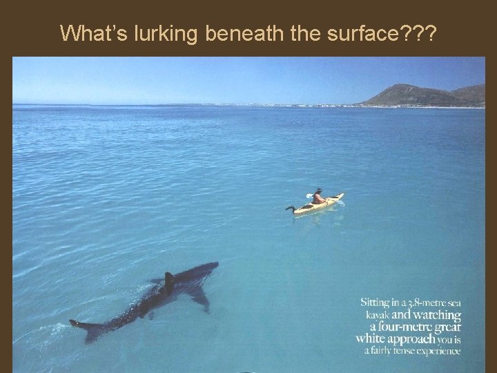 What’s lurking beneath the surface? ? ? 