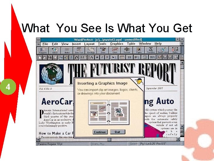 What You See Is What You Get 4 