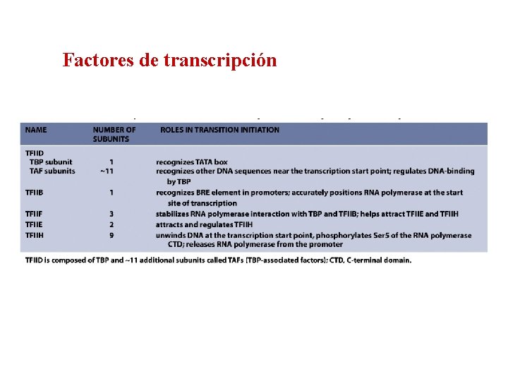 Factores de transcripción 