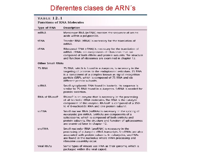 Diferentes clases de ARN´s 