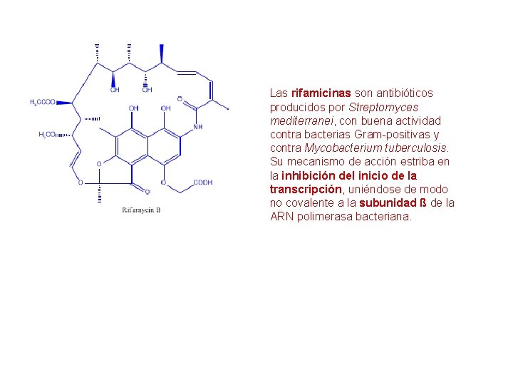 Las rifamicinas son antibióticos producidos por Streptomyces mediterranei, con buena actividad contra bacterias Gram-positivas