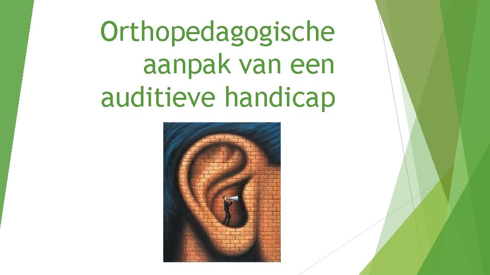 Orthopedagogische aanpak van een auditieve handicap 