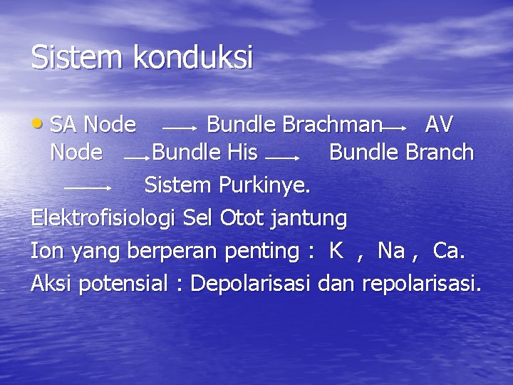 Sistem konduksi • SA Node Bundle Brachman AV Node Bundle His Bundle Branch Sistem