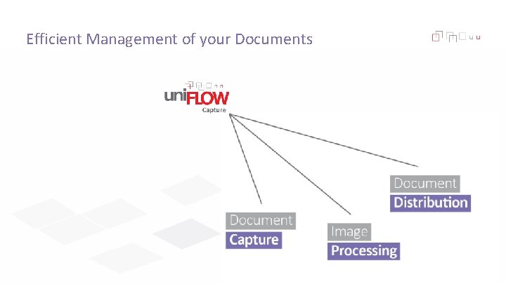 Efficient Management of your Documents 