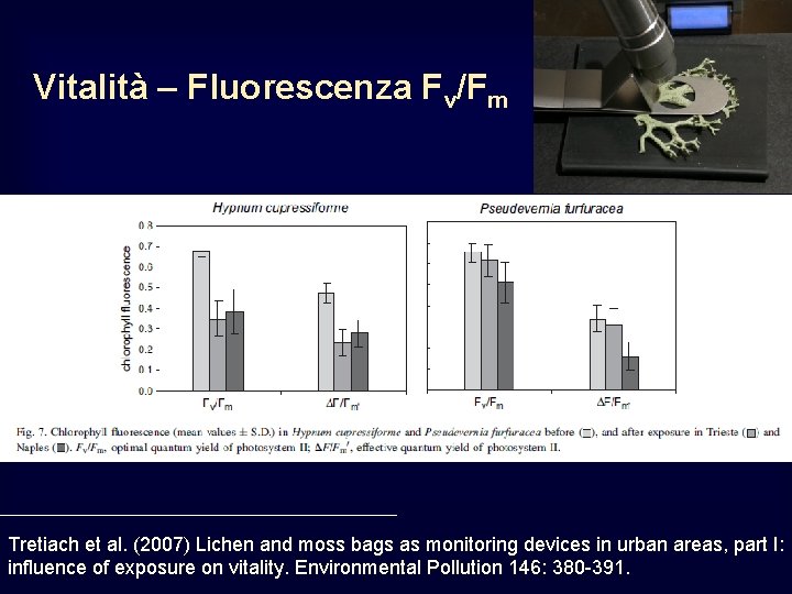 Vitalità – Fluorescenza Fv/Fm Tretiach et al. (2007) Lichen and moss bags as monitoring