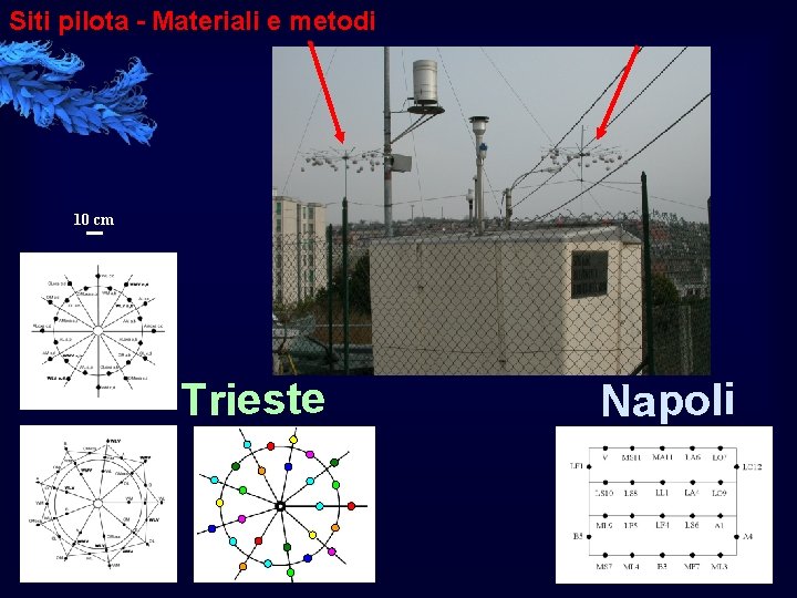 Siti pilota - Materiali e metodi 10 cm Trieste Napoli 