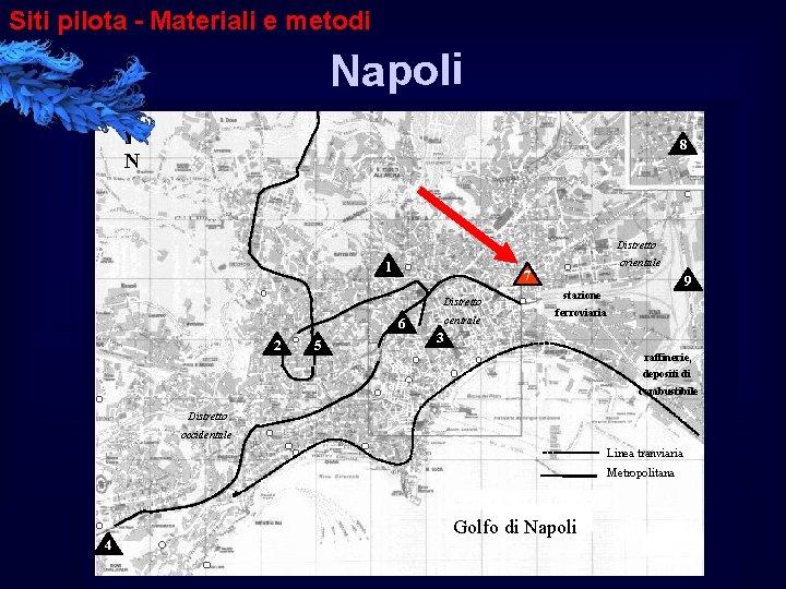 Siti pilota - Materiali e metodi Napoli 8 N Distretto 1 Distretto 6 2