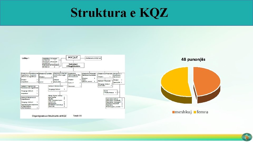 Struktura e KQZ 48 punonjës meshkuj femra 