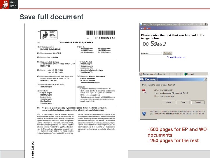 Save full document - 500 pages for EP and WO documents - 250 pages