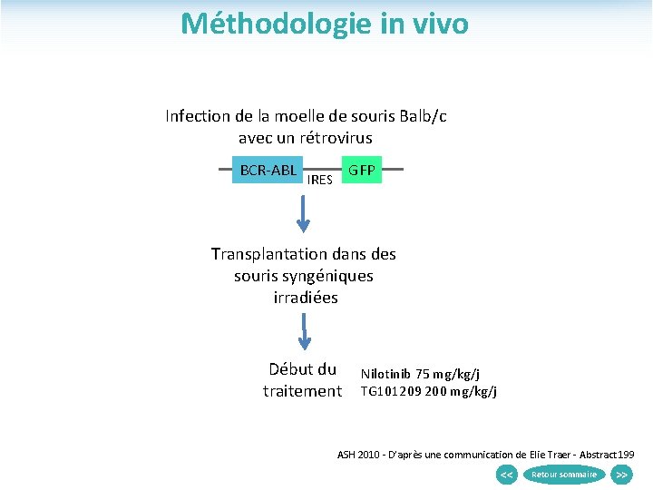 Méthodologie in vivo Infection de la moelle de souris Balb/c avec un rétrovirus BCR-ABL