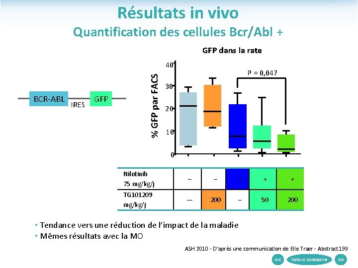 Résultats in vivo Quantification des cellules Bcr/Abl + GFP dans la rate BCR-ABL IRES