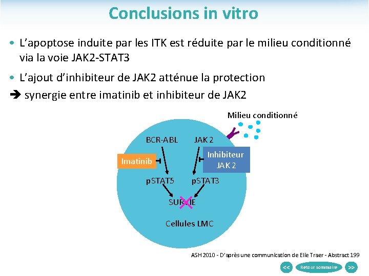 Conclusions in vitro • L’apoptose induite par les ITK est réduite par le milieu