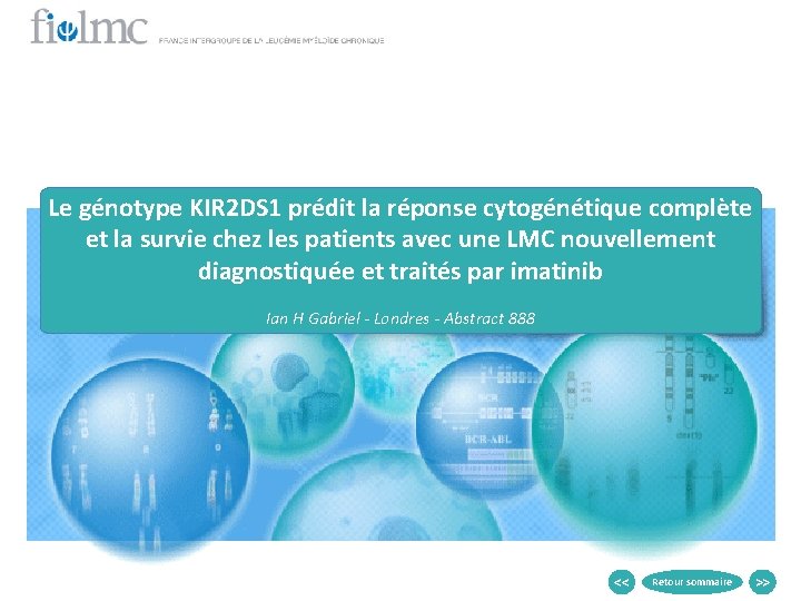 Le génotype KIR 2 DS 1 prédit la réponse cytogénétique complète et la survie