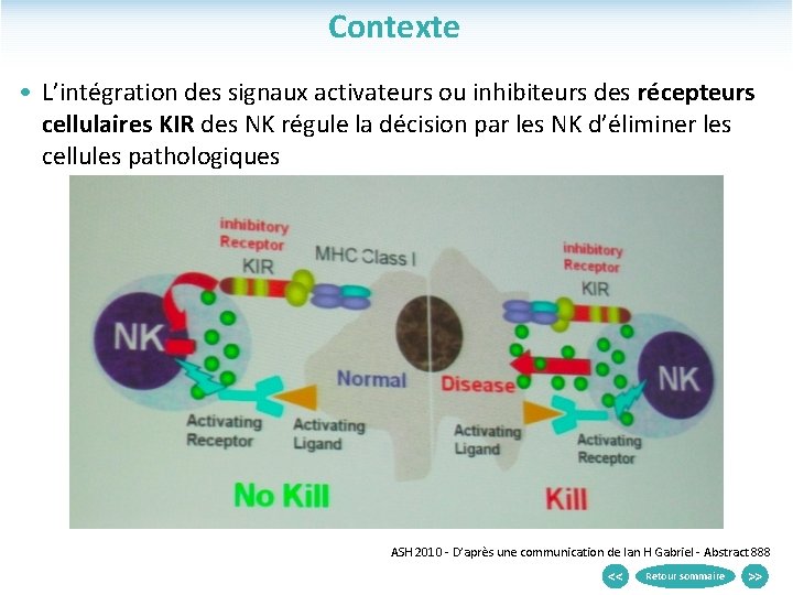 Contexte • L’intégration des signaux activateurs ou inhibiteurs des récepteurs cellulaires KIR des NK