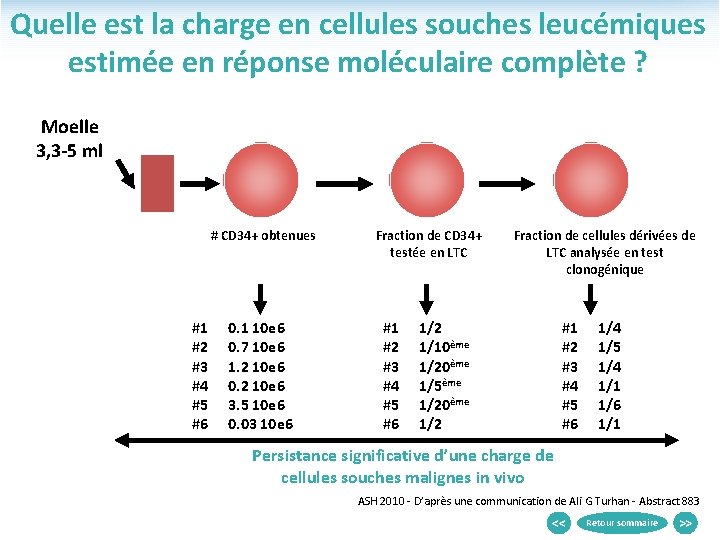 Quelle est la charge en cellules souches leucémiques estimée en réponse moléculaire complète ?