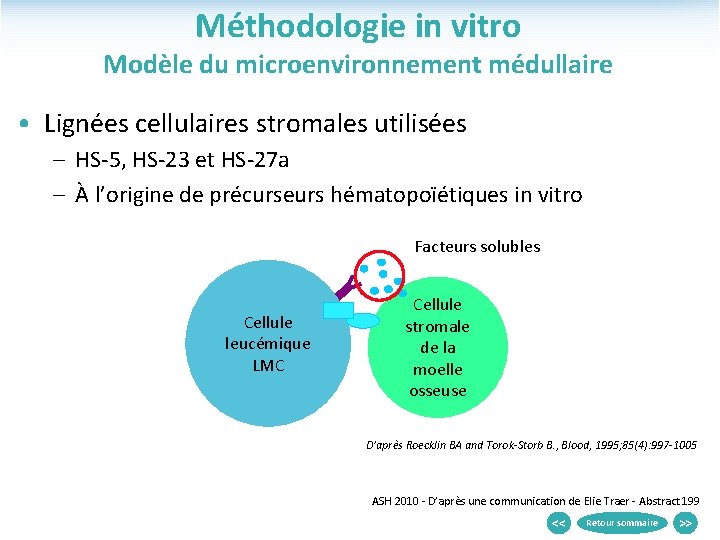 Méthodologie in vitro Modèle du microenvironnement médullaire • Lignées cellulaires stromales utilisées – HS-5,