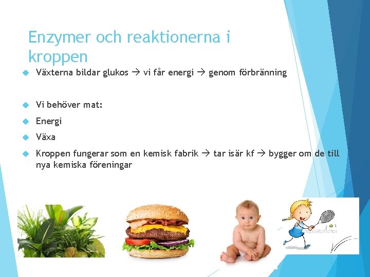 Enzymer och reaktionerna i kroppen Växterna bildar glukos vi får energi genom förbränning Vi Enzymer och reaktionerna i kroppen Växterna bildar glukos vi får energi genom förbränning Vi