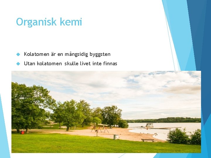 Organisk kemi Kolatomen är en mångsidig byggsten Utan kolatomen skulle livet inte finnas Organisk kemi Kolatomen är en mångsidig byggsten Utan kolatomen skulle livet inte finnas