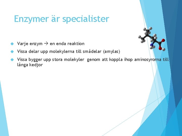 Enzymer är specialister Varje enzym en enda reaktion Vissa delar upp molekylerna till smådelar Enzymer är specialister Varje enzym en enda reaktion Vissa delar upp molekylerna till smådelar