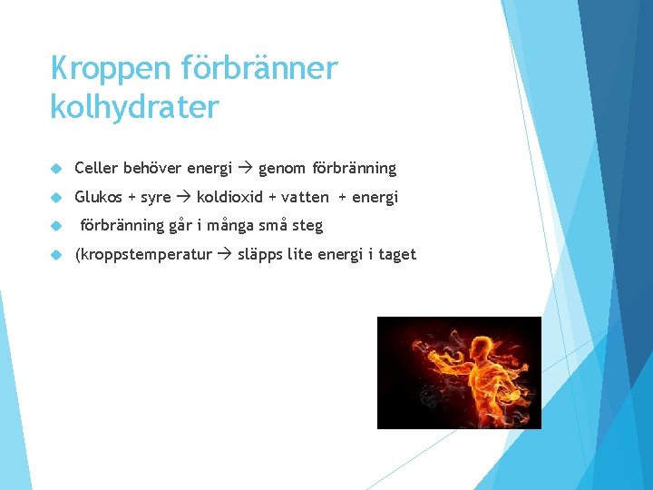 Kroppen förbränner kolhydrater Celler behöver energi genom förbränning Glukos + syre koldioxid + vatten Kroppen förbränner kolhydrater Celler behöver energi genom förbränning Glukos + syre koldioxid + vatten