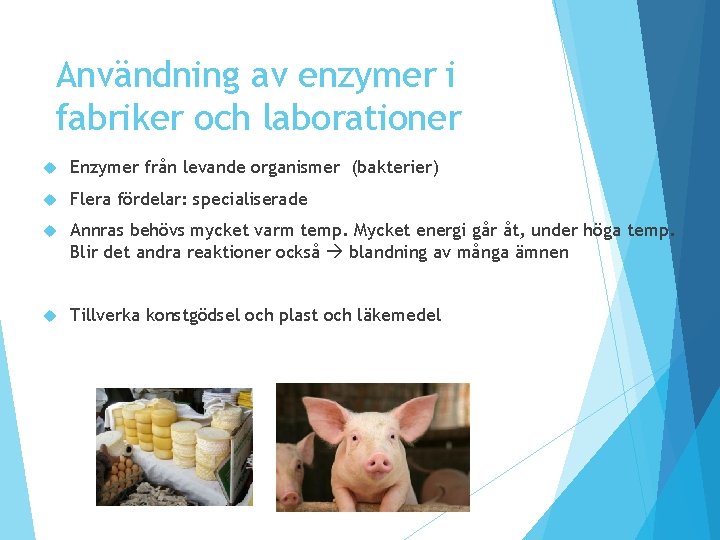 Användning av enzymer i fabriker och laborationer Enzymer från levande organismer (bakterier) Flera fördelar: Användning av enzymer i fabriker och laborationer Enzymer från levande organismer (bakterier) Flera fördelar:
