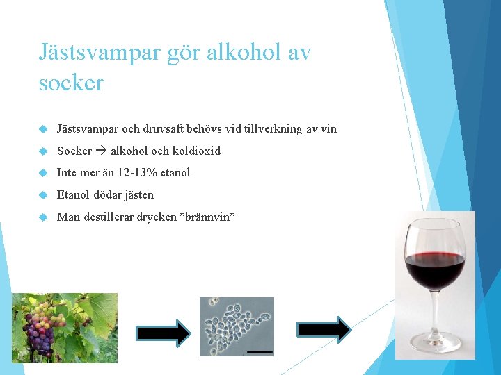 Jästsvampar gör alkohol av socker Jästsvampar och druvsaft behövs vid tillverkning av vin Socker Jästsvampar gör alkohol av socker Jästsvampar och druvsaft behövs vid tillverkning av vin Socker