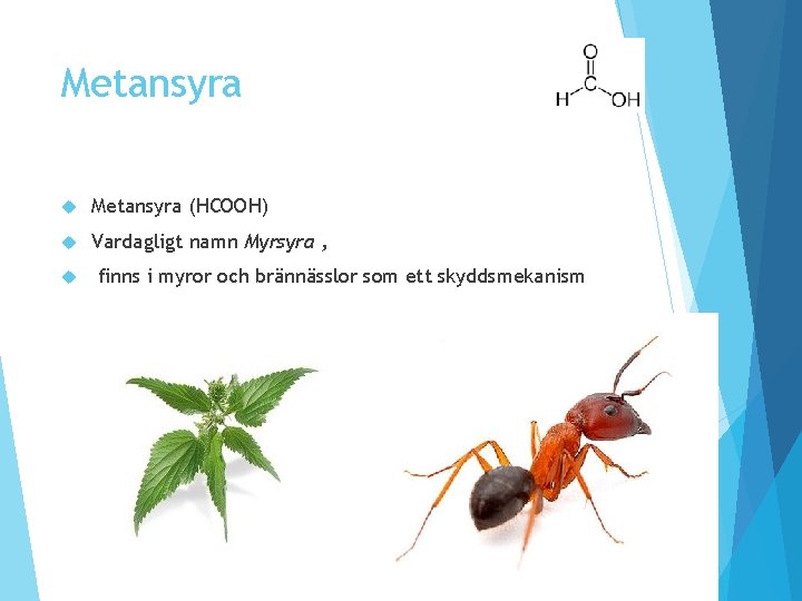 Metansyra (HCOOH) Vardagligt namn Myrsyra , finns i myror och brännässlor som ett skyddsmekanism Metansyra (HCOOH) Vardagligt namn Myrsyra , finns i myror och brännässlor som ett skyddsmekanism