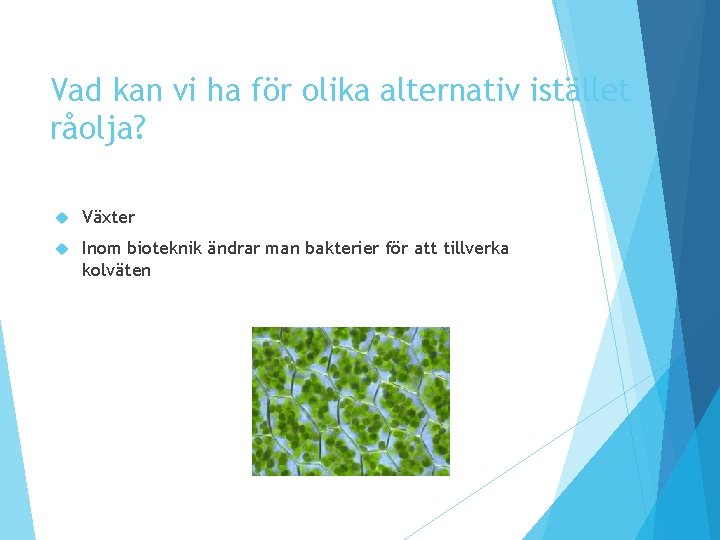 Vad kan vi ha för olika alternativ istället råolja? Växter Inom bioteknik ändrar man Vad kan vi ha för olika alternativ istället råolja? Växter Inom bioteknik ändrar man