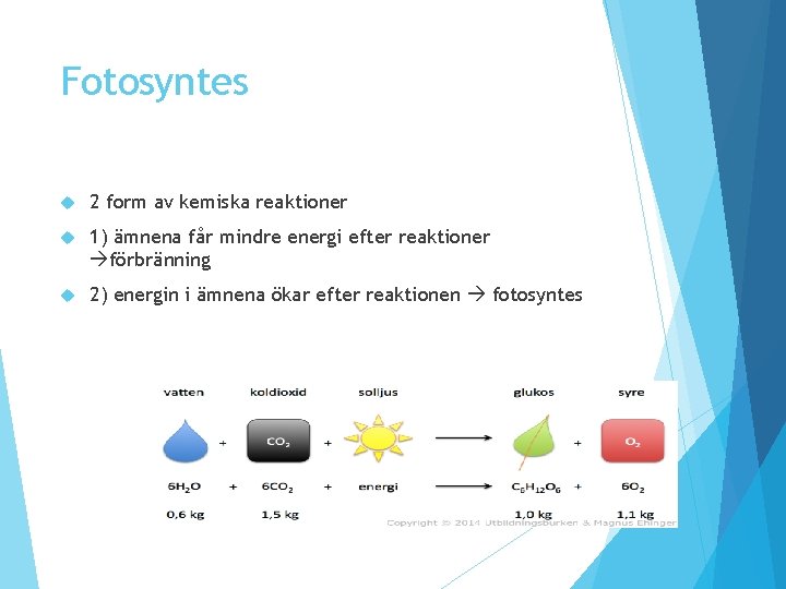 Fotosyntes 2 form av kemiska reaktioner 1) ämnena får mindre energi efter reaktioner förbränning Fotosyntes 2 form av kemiska reaktioner 1) ämnena får mindre energi efter reaktioner förbränning