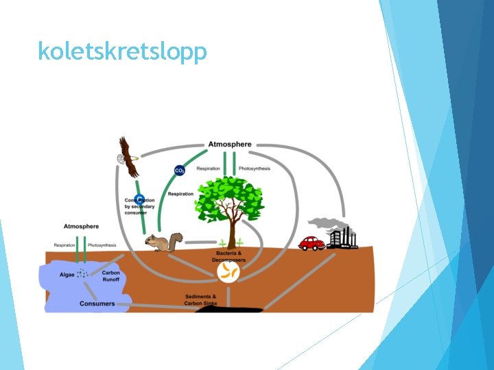 koletskretslopp koletskretslopp