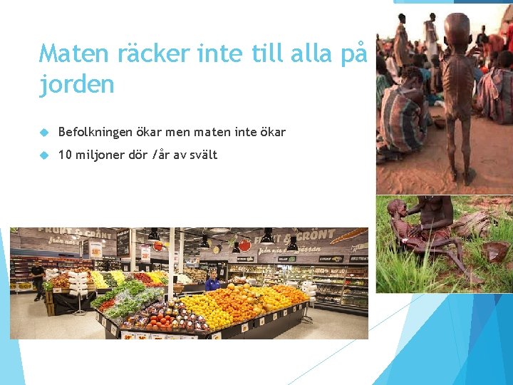 Maten räcker inte till alla på jorden Befolkningen ökar men maten inte ökar 10 Maten räcker inte till alla på jorden Befolkningen ökar men maten inte ökar 10