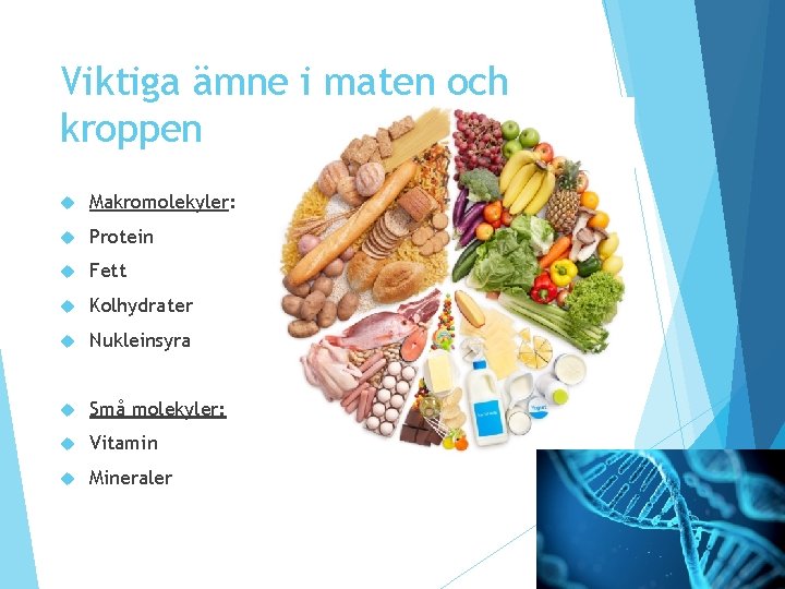 Viktiga ämne i maten och kroppen Makromolekyler: Protein Fett Kolhydrater Nukleinsyra Små molekyler: Vitamin Viktiga ämne i maten och kroppen Makromolekyler: Protein Fett Kolhydrater Nukleinsyra Små molekyler: Vitamin