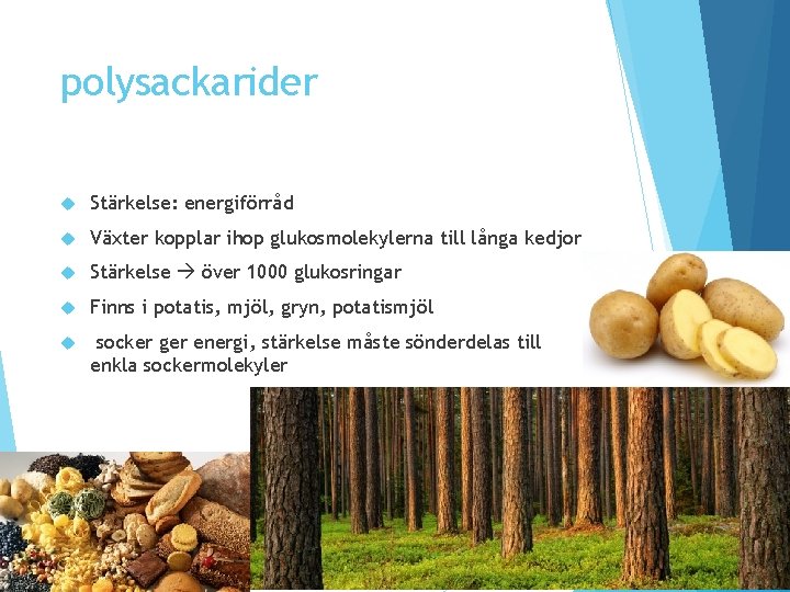 polysackarider Stärkelse: energiförråd Växter kopplar ihop glukosmolekylerna till långa kedjor Stärkelse över 1000 glukosringar polysackarider Stärkelse: energiförråd Växter kopplar ihop glukosmolekylerna till långa kedjor Stärkelse över 1000 glukosringar