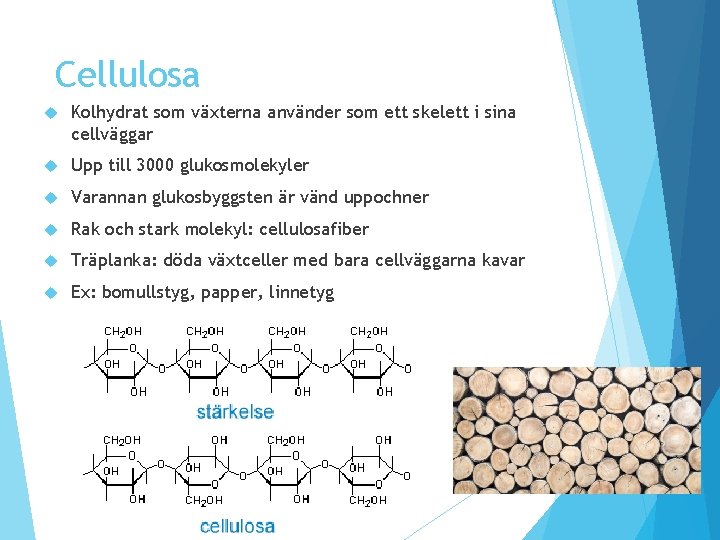 Cellulosa Kolhydrat som växterna använder som ett skelett i sina cellväggar Upp till 3000 Cellulosa Kolhydrat som växterna använder som ett skelett i sina cellväggar Upp till 3000