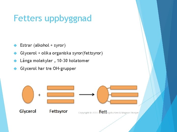 Fetters uppbyggnad Estrar (alkohol + syror) Glycerol + olika organiska syror(fettsyror) Långa molekyler , Fetters uppbyggnad Estrar (alkohol + syror) Glycerol + olika organiska syror(fettsyror) Långa molekyler ,