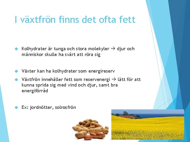 I växtfrön finns det ofta fett Kolhydrater är tunga och stora molekyler djur och I växtfrön finns det ofta fett Kolhydrater är tunga och stora molekyler djur och