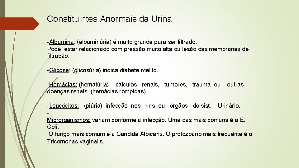 Constituintes Anormais da Urina -Albumina: Albumina (albuminúria) é muito grande para ser filtrado. Pode