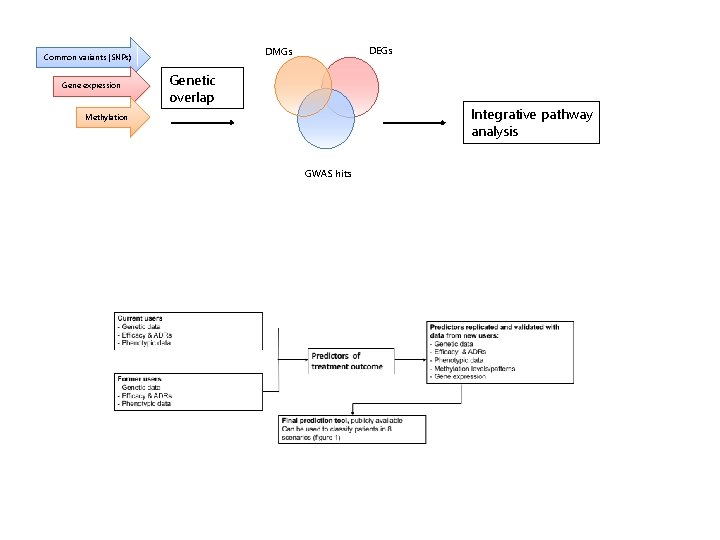 Gene expression DEGs DMGs Common variants (SNPs) Genetic overlap Integrative pathway analysis Methylation GWAS