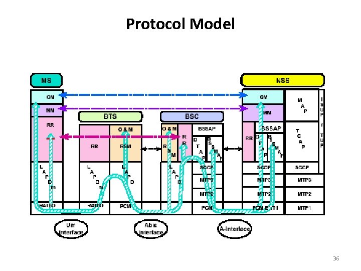 Protocol Model 36 