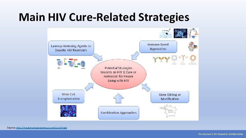 Main HIV Cure-Related Strategies Source: http: //treatmentactiongroup. org/cure/trials The Women’s HIV Research Collaborative 