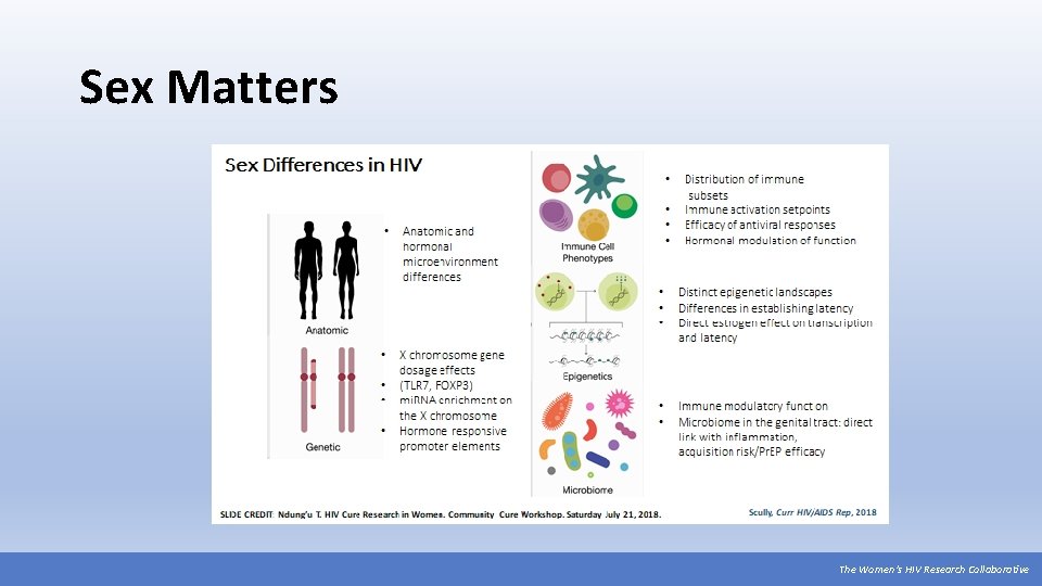 Sex Matters The Women’s HIV Research Collaborative 